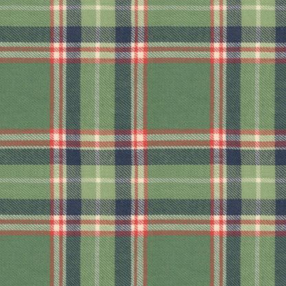 Plaid fabric pattern with green, red, and blue colors.