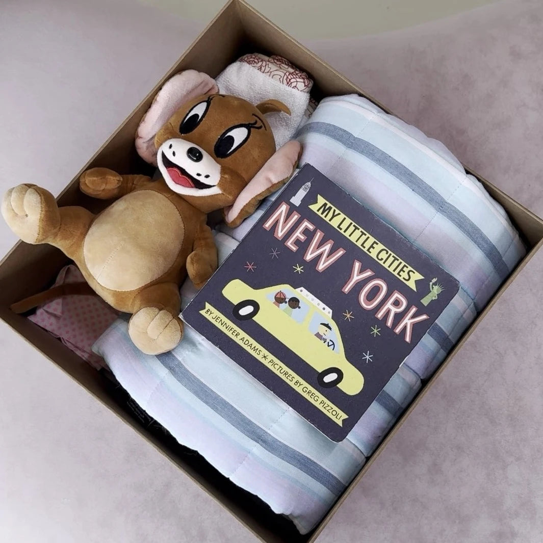 Luxury Baby Gift Box (newborn - 2y)