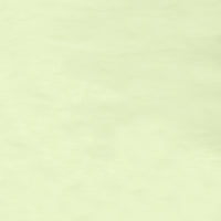 Lime Green - Last gallery image