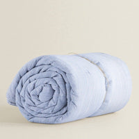 Blue and White Stripe